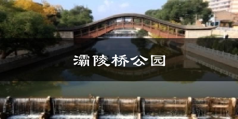 灞陵桥公园天气预报十五天