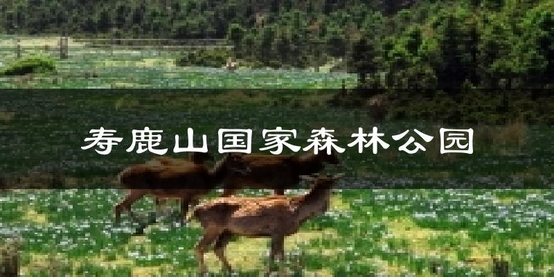 寿鹿山国家森林公园天气预报十五天
