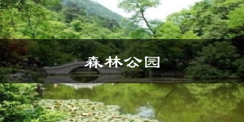 森林公园天气预报十五天
