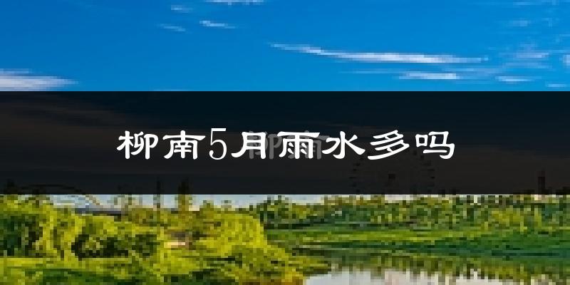 柳南5月雨水多吗?