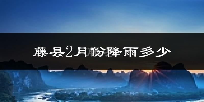 藤县2月份降雨多少?