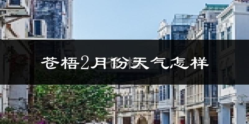 苍梧县2月份天气如何?冷吗?