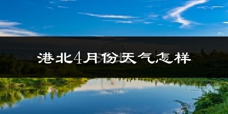 港北4月份天气怎样?港北四月冷吗?