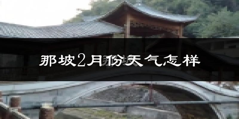 那坡县2月份天气如何?天气冷吗?