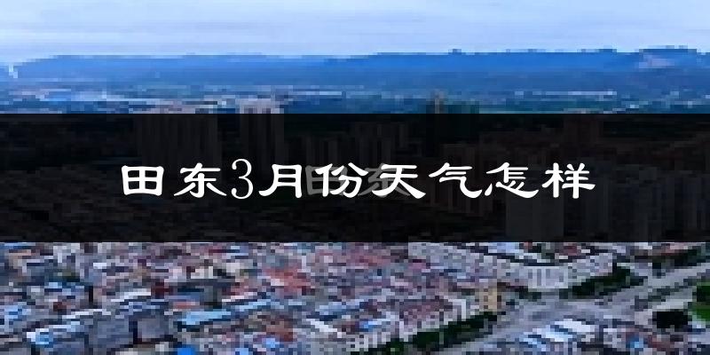 田东县3月份天气如何?冷热变化大吗?