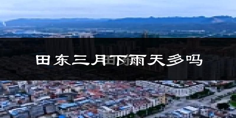 田东三月下雨天多吗?田东3月份降雨量多少?