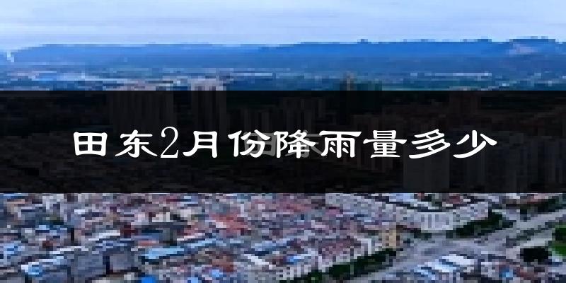 田东2月份降雨量多少?田东二月下雨多吗?