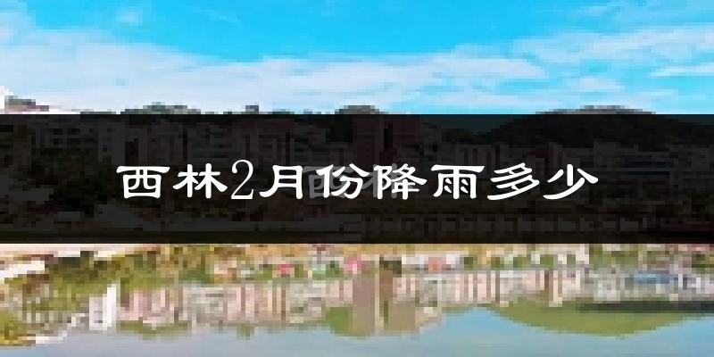 西林2月份降雨多少?