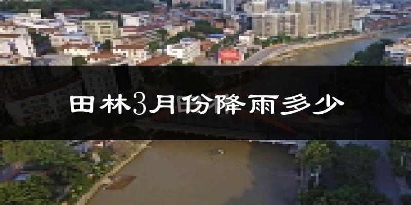 田林3月份降雨多少?