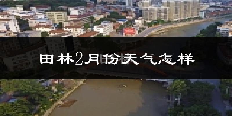 田林县2月份天气如何?冷吗?