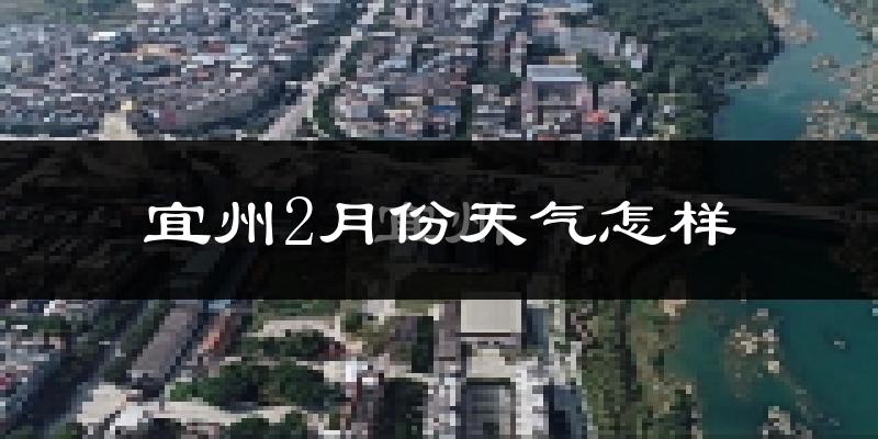 宜州市2月份天气如何?冷吗?